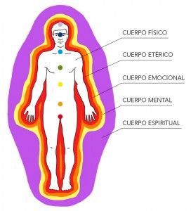 cuerpos