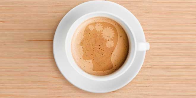 Cerebro y Cafeína