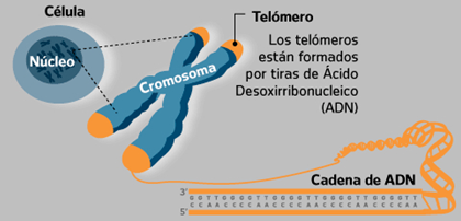 Diagram

Description automatically generated
