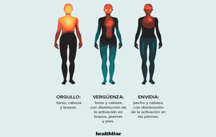 A poster of different types of body parts

Description automatically generated